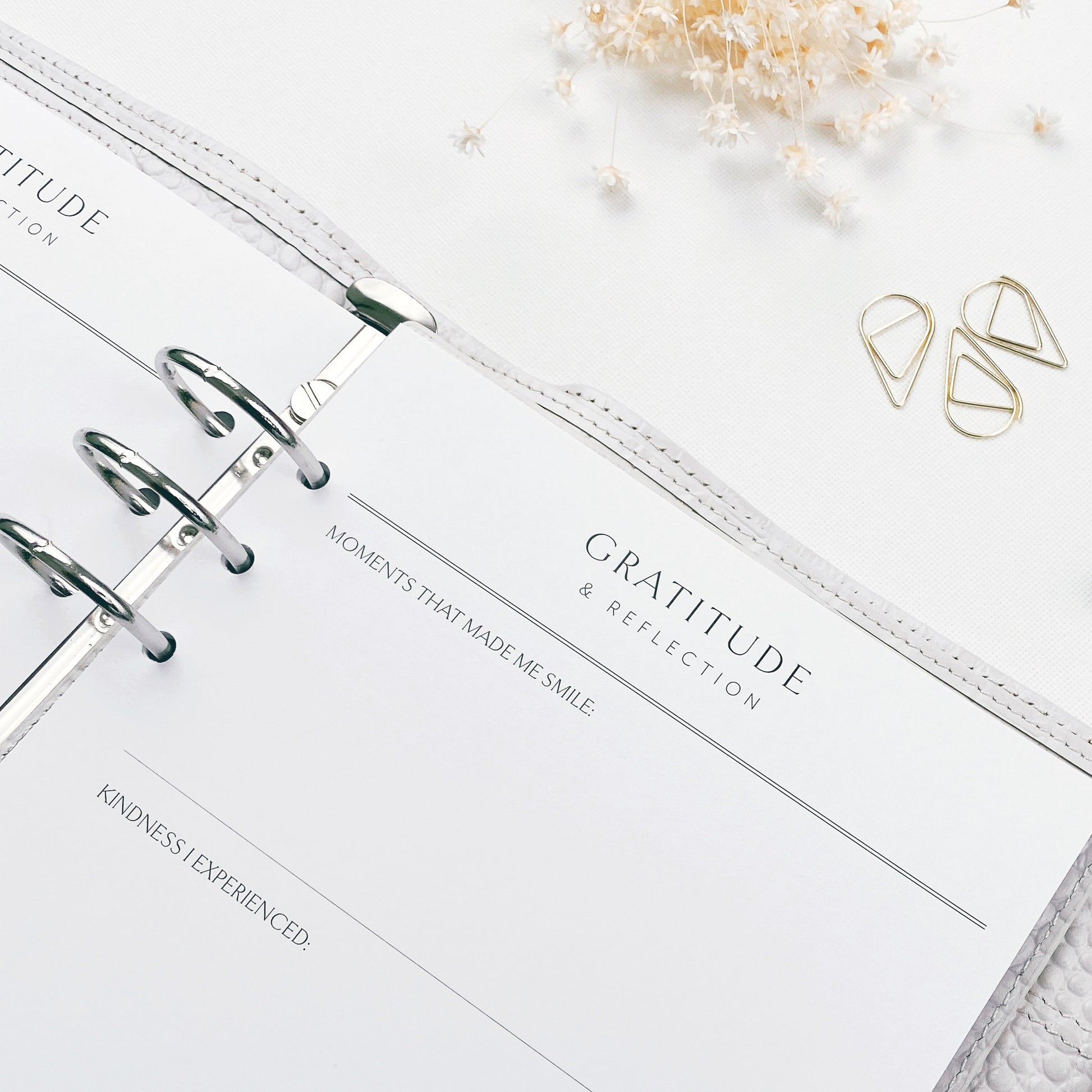 Open planner with 'Gratitude & Reflection' page on a white surface with decorative elements.