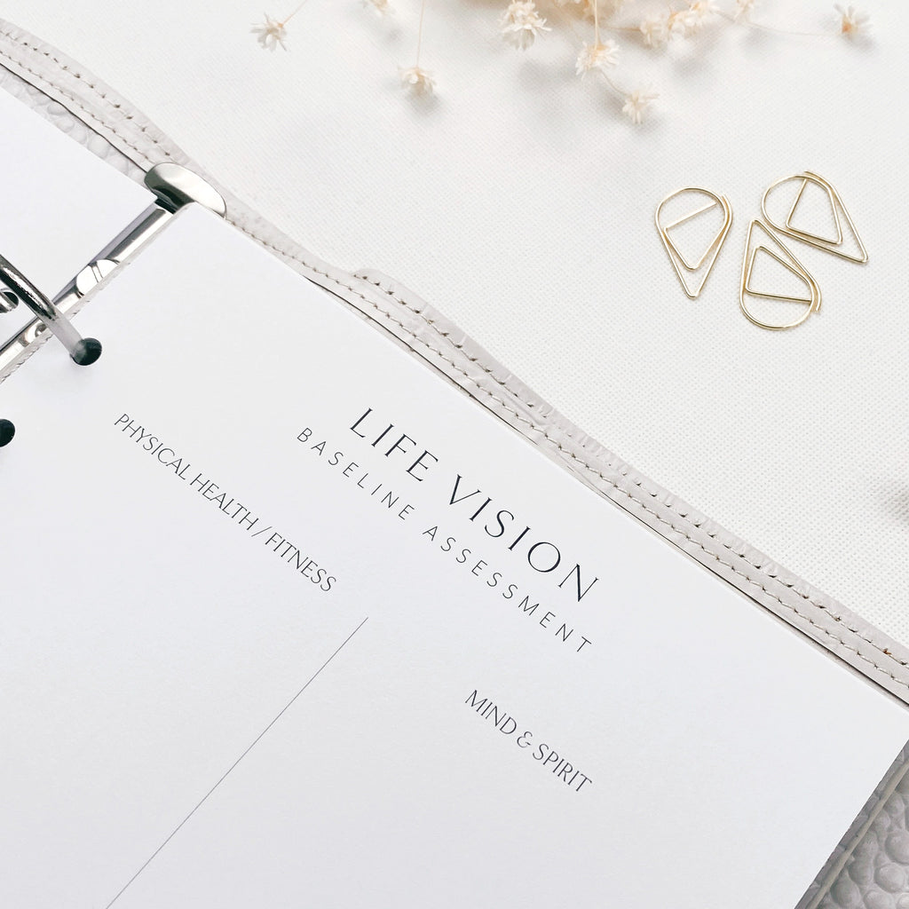 Life Vision baseline assessment document with paper clips on a white surface