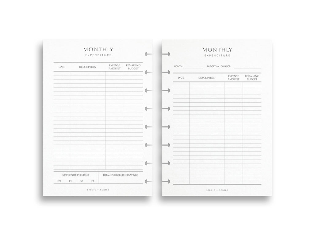 2 planner pages with a monthly expenditure tracking layout